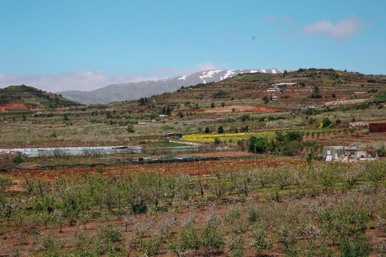 Grand Golan Villa Buq'ata Eksteriør billede